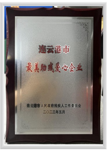 最美助残企业